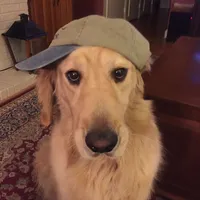 original sound - belkasong