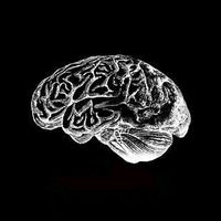 mentalidade.aco