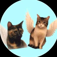 kessesiniveletyaoiokuyom