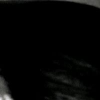 solano_solano0