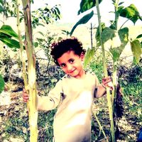 alishahkhan001