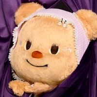 butterbear.bear
