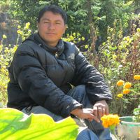 govindtamang6