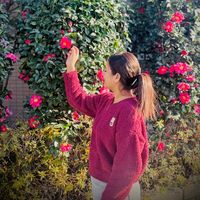 prakriti__22