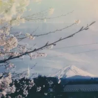 original sound - ttwixieq