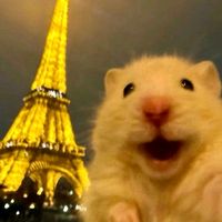 suara asli - AL