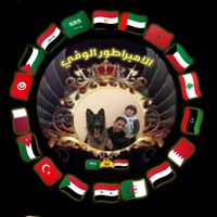 king_vip_king