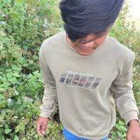 dfsus2