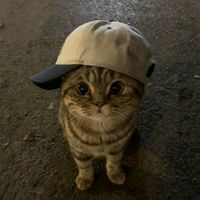 suara asli