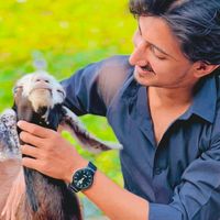 jd.khan18