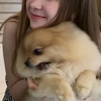 original sound - bbltvkk