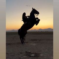gulsahertal1