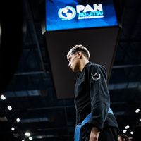 gabrielpetersenbjj
