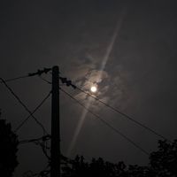tusharmia_2010