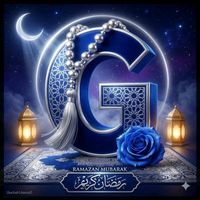 gull.naaz510