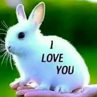 mdshakilhasan9099