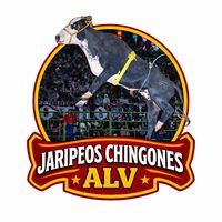 jaripeoschingonesalv2