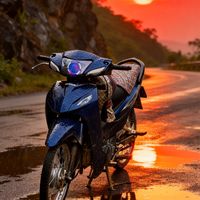 longseo24