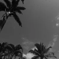 original sound - .majito.011