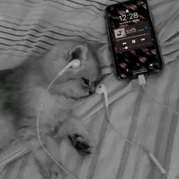 original sound - dede_imuts290915