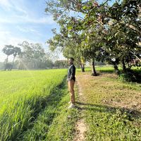 nguon282