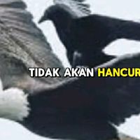 suara asli - luki,💞💞