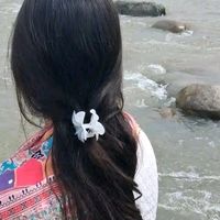 lenaecgsntv