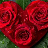 aysee.gul_1982