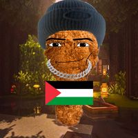 mr.minecraft492
