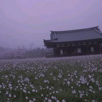 nona_nano012