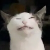 original sound - nyango_onyang