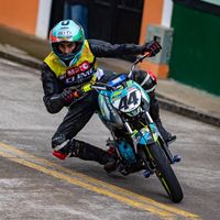 david252_
