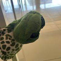 เสียงต้นฉบับ - พ้อยป้อกเก้า