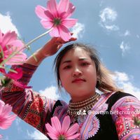nhạc nền - Lời tạm biệt chưa nói