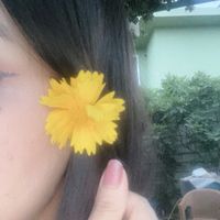 elom_editor1702