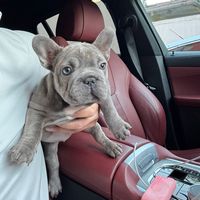 amigo_del_dinero
