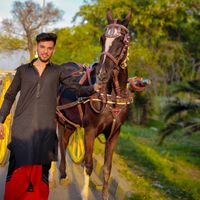 husnaingujjar1233