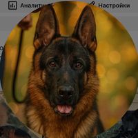 odlar_yurdu_official