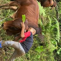 mathiasdiaz18_
