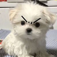 오리지널 사운드 - 필요한