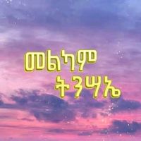 tsegaye..18