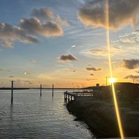 original sound - panirchelvam6810