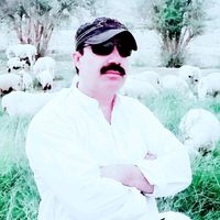 ismailhajizai11