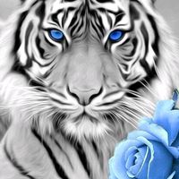 adele_51_hunter
