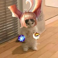 larinatav2