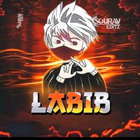 md.labib5086