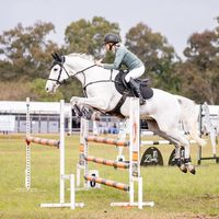 chshowjumping