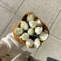 オリジナル楽曲 - 🌼