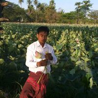 original sound - ဦးတိုးအောင်