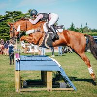 heidigreeneq